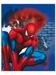 Auto deka Spiderman , Rozměr textilu - 120x150
