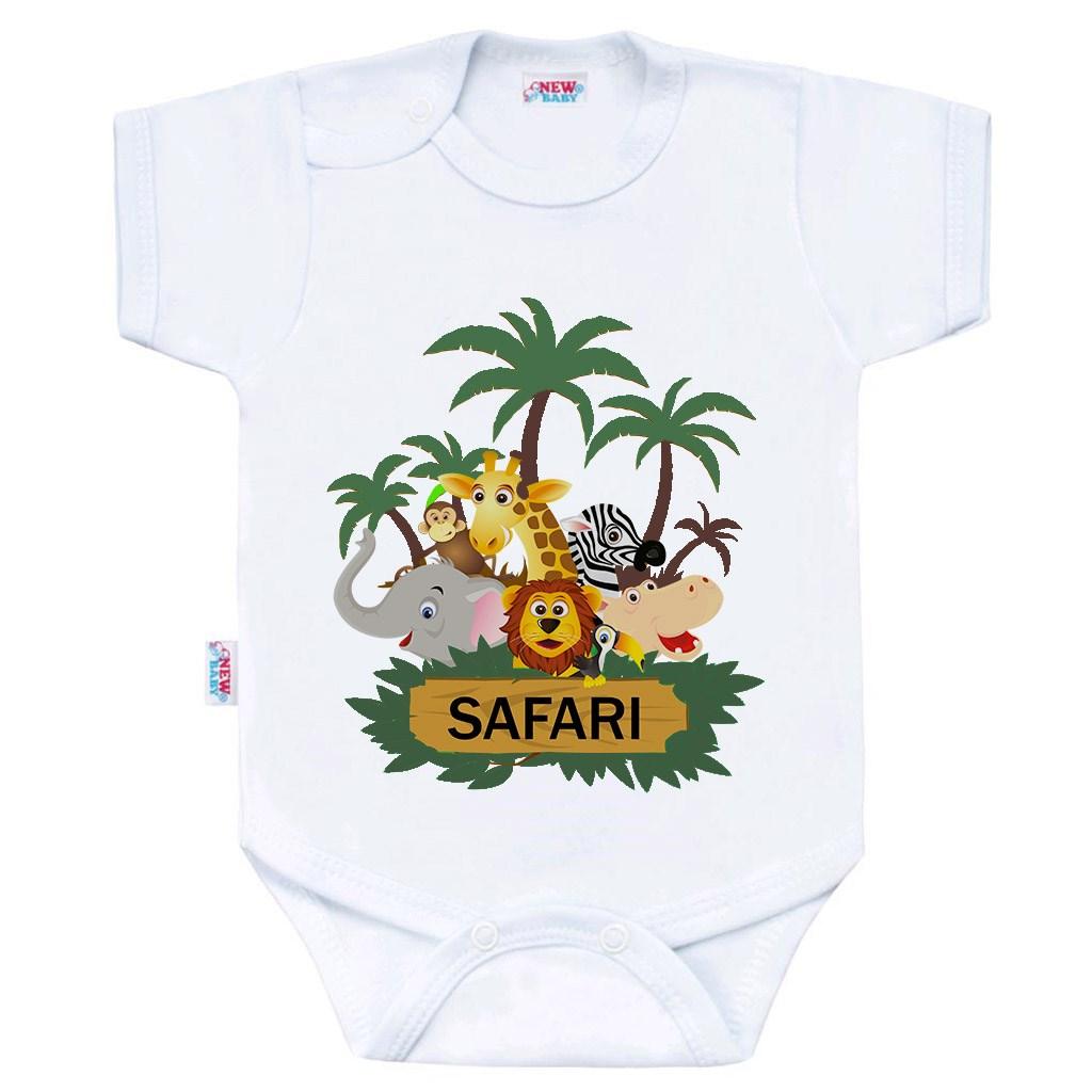 body by safari price