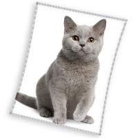 deka Britská Mačka Šedá , Barva - Bílo-šedá , Rozměr textilu - 150x200