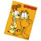 Deka Garfield a kamarát Odie , Barva - Oranžová , Rozměr textilu - 150x200-1