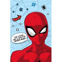 Deka Spiderman sieť , Barva - Modro-červená , Rozměr textilu - 100x150