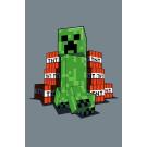 Deka Minecraft TNT , Barva - Tmavo šedá , Rozměr textilu - 100x150