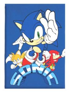 Deka Sonic , Barva - Modrá , Rozměr textilu - 110x140