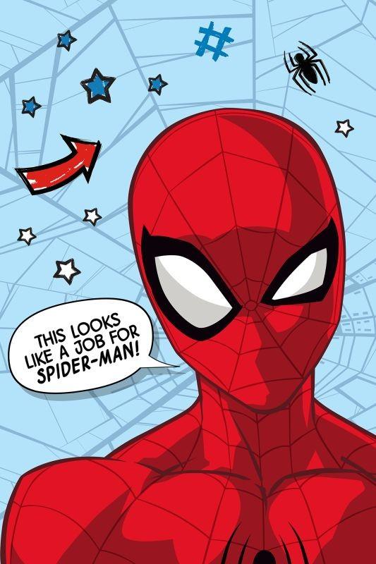 Deka Spiderman sieť
