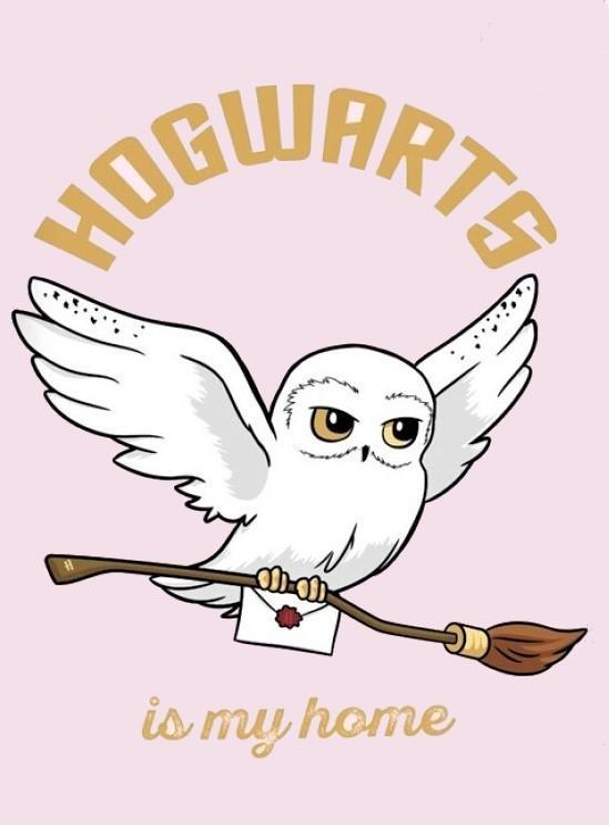 Deka XL Harry Potter Hedviga