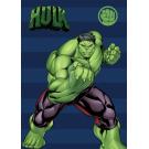 Fleece deka Avengers Hulk , Barva - Modro-zelená , Rozměr textilu - 100x140