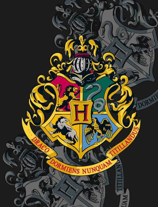 Fleece Deka HARRY POTTER