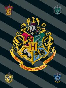Flísová deka Harry Potter , Barva - Tmavo šedá , Rozměr textilu - 100x150