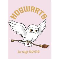 Deka Harry Potter Hedvika , Barva - Svetlo ružová , Rozměr textilu - 100x150