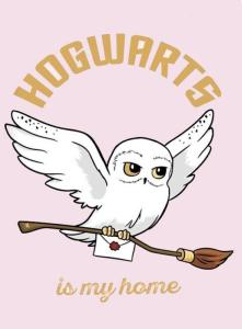 Deka Harry Potter Hedvika , Rozměr textilu - 100x150