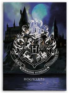DEKA HARRY POTTER , Rozměr textilu - 100x140