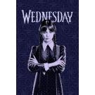 Deka Wednesday , Barva - Fialová , Rozměr textilu - 100x150