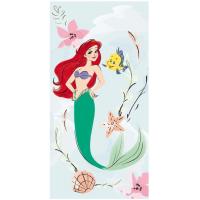 Osuška Ariela Disney , Barva - Barevná , Rozměr textilu - 70x140
