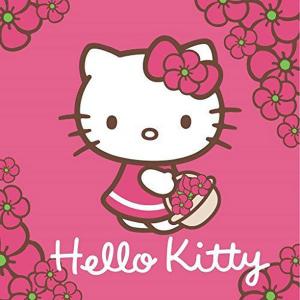 Kúzelný uteráčik Hello Kitty , Rozměr textilu - 30x30