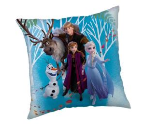 Mikroplyšový polštářek Ledové Království 02 Family Polyester, 40/40 cm , Barva - Tyrkysová , Rozměr textilu - 40x40