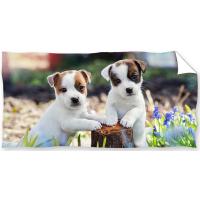 Osuška Bráškové Jack Russell Teriér , Barva - Biela , Rozměr textilu - 70x140