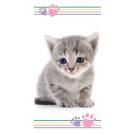 Osuška Mačička Kitten ťapky , Barva - Bílo-šedá , Rozměr textilu - 70x140