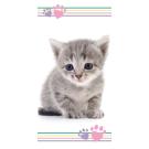 Osuška Mačička Kitten ťapky , Barva - Biela , Rozměr textilu - 70x140