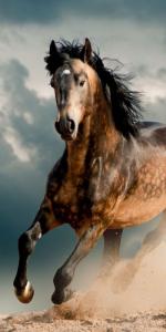 Osuška Kôň v búrke , Barva - Barevná , Rozměr textilu - 70x140