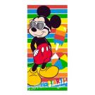OSUŠKA MICKEY , Barva - Barevná , Rozměr textilu - 70x140
