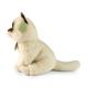 Plyšová kočka ragdoll 23 cm SOFT COLLECTION , Barva - Béžová-2