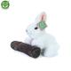 Plyšový králik biely 16 cm ECO-FRIENDLY , Barva - Biela-1