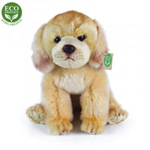 Plyšový labrador 27 cm ECO-FRIENDLY , Barva - Barevná