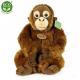 Plyšový orangutan 27 cm , Barva - Hnedá-1