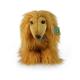 Plyšový pes afghánský chrt 32 cm ECO-FRIENDLY , Barva - Hnedá-2