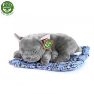 Plyšový pes francúzsky buldoček 23 cm ECO-FRIENDLY , Barva - Šedá