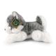 Plyšový pes husky 21 cm ECO-FRIENDLY , Barva - Šedá-2