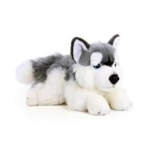 Plyšový pes husky ležiaci 30 cm , Barva - Šedá