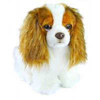 Plyšový pes King Charles Španiel, 25 cm , Barva - Bílo-hnědá