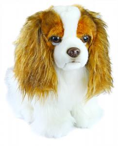 Plyšový pes King Charles Španiel, 25 cm , Barva - Barevná