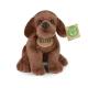 Plyšový pes labrador sedící 20 cm ECO-FRIENDLY , Barva - Hnedá-3