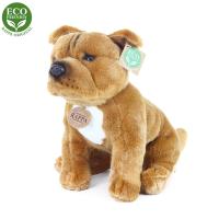 Plyšový pes stafordšírsky bulteriér 30 cm , Barva - Béžová