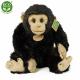 Plyšový šimpanz 27 cm , Barva - Čierna-1