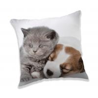 Vankúšik Puppy and Kitten , Barva - Biela , Rozměr textilu - 40x40