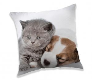 Vankúšik Puppy and Kitten , Barva - Biela , Rozměr textilu - 40x40