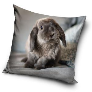 Obliečka na vankúšik Zakrpatený Králíček , Barva - Šedá , Rozměr textilu - 40x40