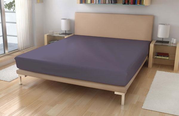 Plachta Jersey