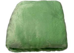 Prestieradlo mikroplyš zelená 180x200 , Barva - Zelená , Rozměr textilu - 180x200