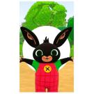 Ručník Bing , Barva - Barevná , Rozměr textilu - 30x50