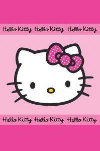 Uterák Hello Kitty , Rozměr textilu - 40x60