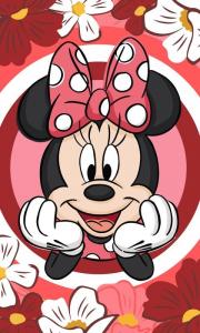 Uterák Minnie Disney , Rozměr textilu - 30x50