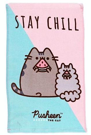 Ručník Pusheen Stay Chill