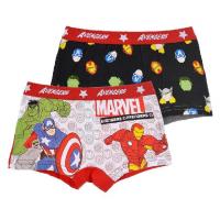 BOXERKY AVENGERS bio 2ks