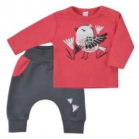 Tepláky a tričko Koala Birdy , Velikost - 56 , Barva - Červeno-šedá