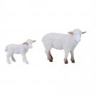 Zvieratá na farme 2 v 1 - ovce , Barva - Biela